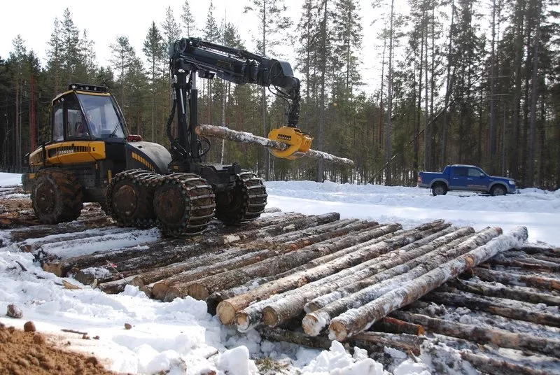 Строительство лесовозной дороги